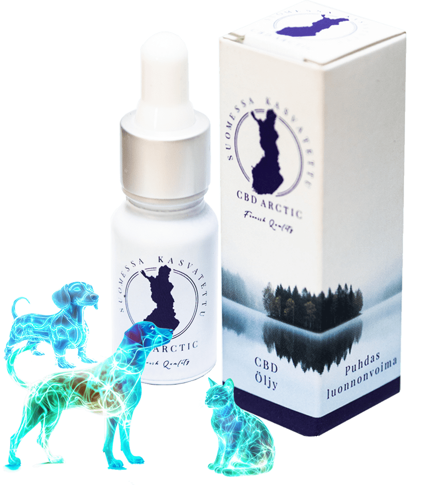 CBD aliejus augintiniams 6%