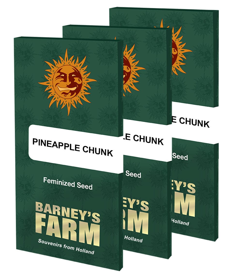 Barney's Farm Pineapple Chunk